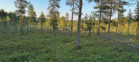 Grundstück in Minden-Lübbecke, Germany, Nr. 234672 10