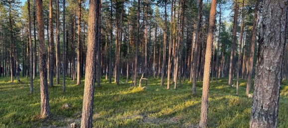 Grundstück in Minden-Lübbecke, Germany, Nr. 234672 13