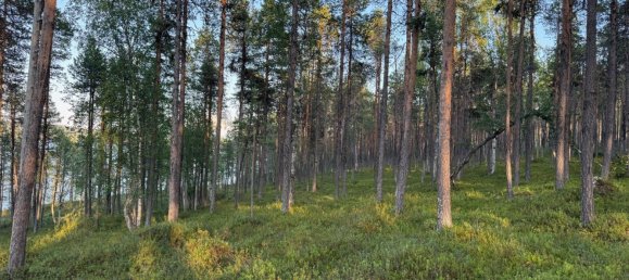 Grundstück in Minden-Lübbecke, Germany, Nr. 234672 2