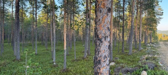 Grundstück in Minden-Lübbecke, Germany, Nr. 234672 9