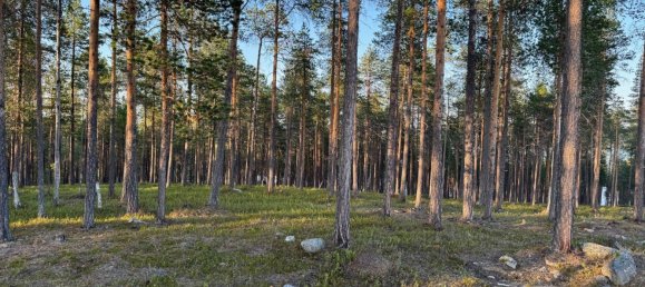 Grundstück in Minden-Lübbecke, Germany, Nr. 234672 12