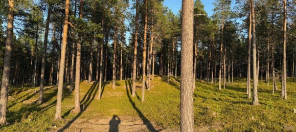 Grundstück in Minden-Lübbecke, Germany, Nr. 234672 5