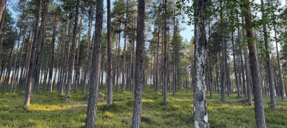 Grundstück in Minden-Lübbecke, Germany, Nr. 234672 3