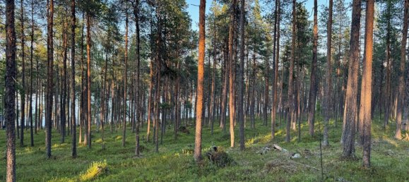 Grundstück in Minden-Lübbecke, Germany, Nr. 234672 14