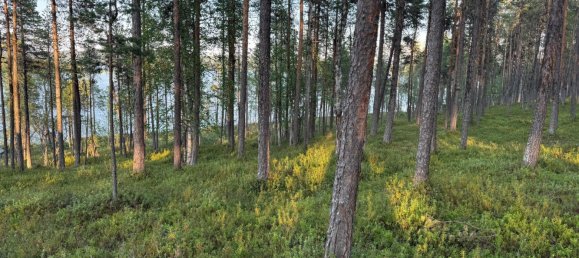 Grundstück in Minden-Lübbecke, Germany, Nr. 234672 4