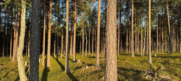 Grundstück in Minden-Lübbecke, Germany, Nr. 234672 7