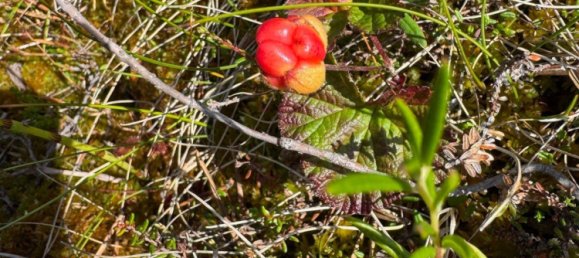 Grundstück in Minden-Lübbecke, Germany, Nr. 234672 15