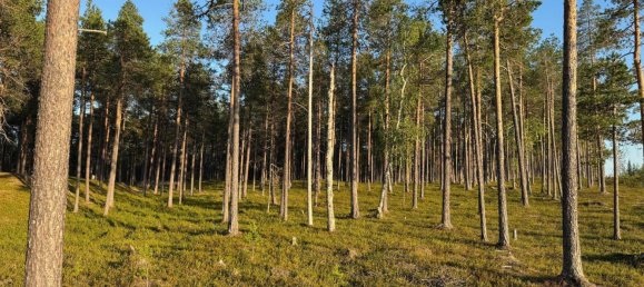 Grundstück in Minden-Lübbecke, Germany, Nr. 234672 6