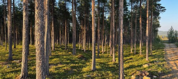 Grundstück in Minden-Lübbecke, Germany, Nr. 234672 8