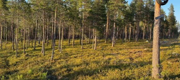 Grundstück in Minden-Lübbecke, Germany, Nr. 234672 11