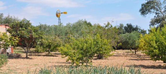 4 bedrooms House in Albons, Spain No. 27740 24