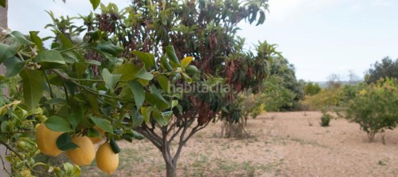 4 bedrooms House in Albons, Spain No. 27740 22