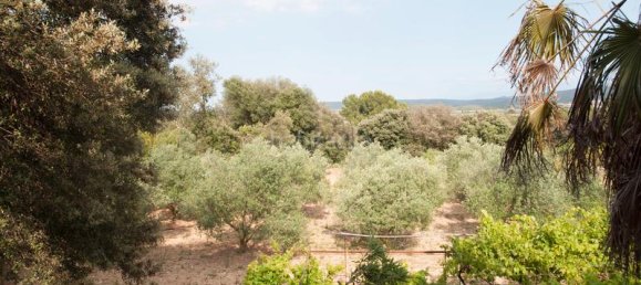 4 bedrooms House in Albons, Spain No. 27740 17