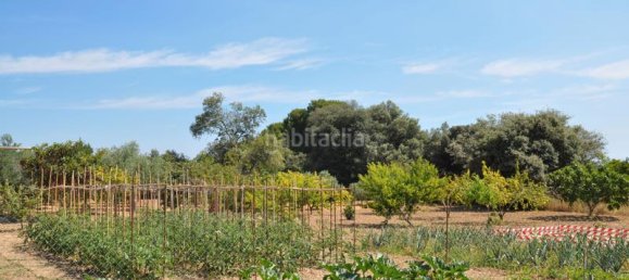 4 bedrooms House in Albons, Spain No. 27740 26