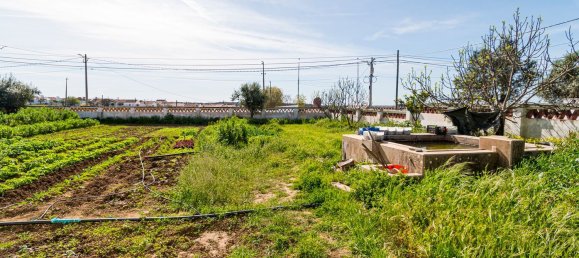 5 غرف نوم منزل في Montemor o Novo, Portugal رقم 27935 12