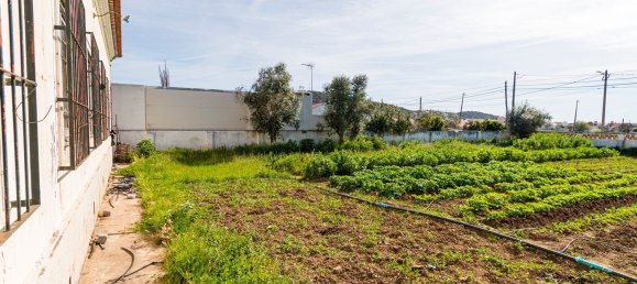 5 غرف نوم منزل في Montemor o Novo, Portugal رقم 27935 11