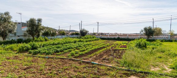 5 غرف نوم منزل في Montemor o Novo, Portugal رقم 27935 23