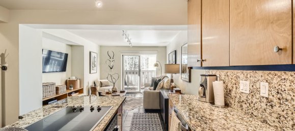 1 Schlafzimmer Cafe / Restaurant in Vail, USA, Nr. 560314 22