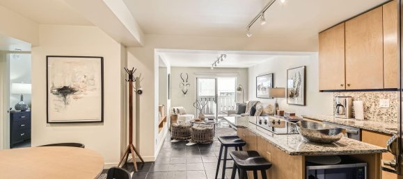 1 Schlafzimmer Cafe / Restaurant in Vail, USA, Nr. 560314 26