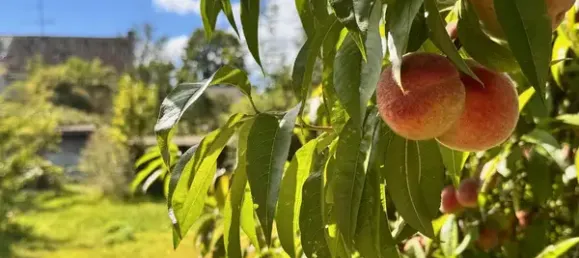 3 bedrooms Townhouse in Oberhavel, Germany No. 339686 17