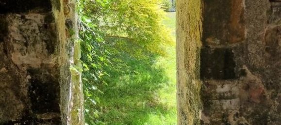 8 chambres Villa à Mougins, France No. 73609 32