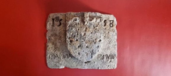 8 chambres Villa à Mougins, France No. 73609 19