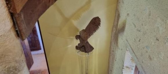 8 chambres Villa à Mougins, France No. 73609 9