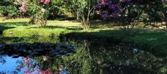 8 chambres Villa à Mougins, France No. 73609 7