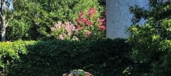 8 chambres Villa à Mougins, France No. 73609 6