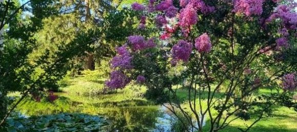 8 chambres Villa à Mougins, France No. 73609 15