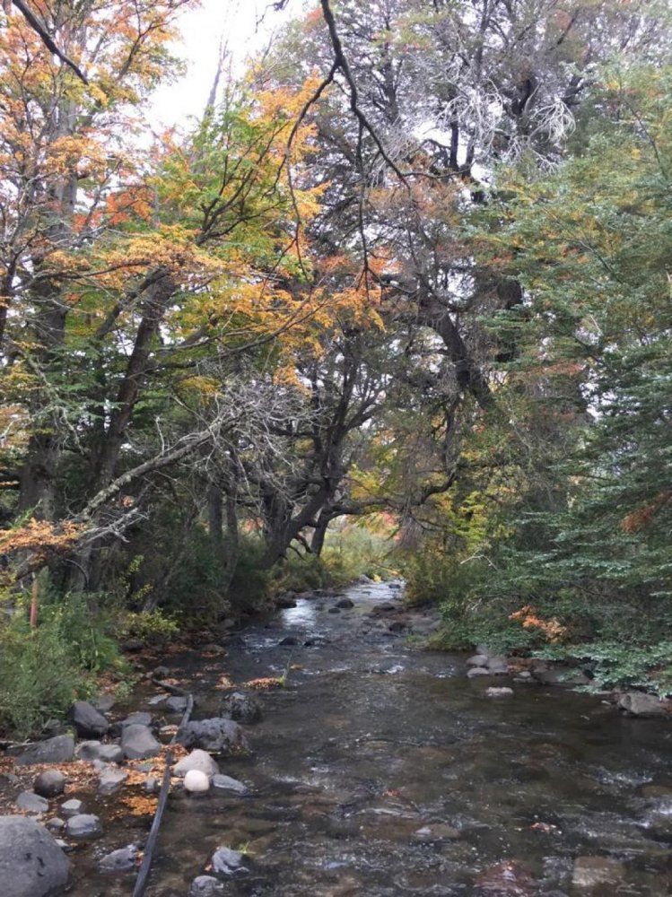 Terrain à Neuquen, Argentina No. 38465