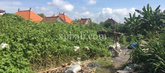 Земельный участок 2530м² в Gianyar, Индонезия № 3782 11