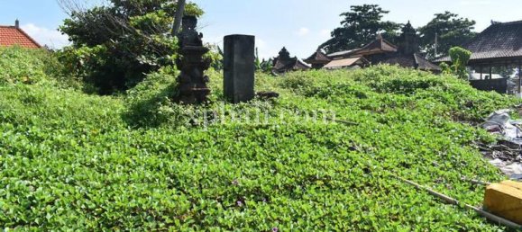 Земельный участок 2530м² в Gianyar, Индонезия № 3782 8