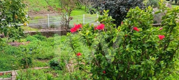 2 Schlafzimmer Haus in Mafra, Portugal, Nr. 64018 30