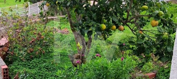 2 Schlafzimmer Haus in Mafra, Portugal, Nr. 64018 29