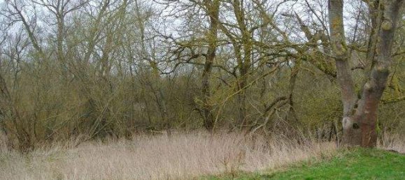 48-Zimmer Bauernhof in Vorpommern-Rügen, Germany, Nr. 341053 11