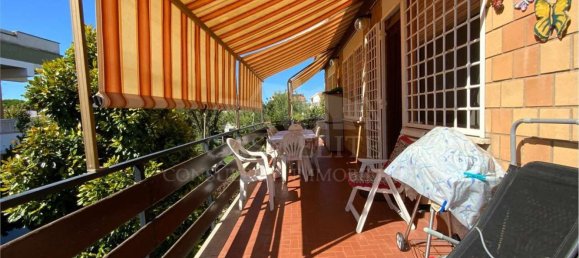 4 bedrooms Apartment in Ardea, Italy No. 334092 36