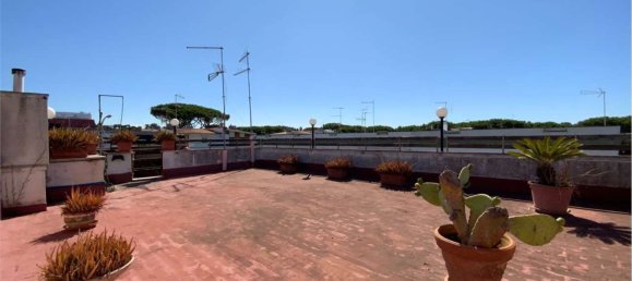 4 bedrooms Apartment in Ardea, Italy No. 334092 40