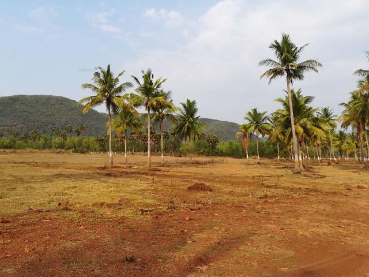  Land in Visakhapatnam, India No. 29648
