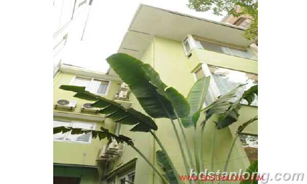 1 غرف نوم شقة في Ba Dinh, Vietnam رقم 7032