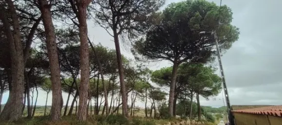 3 bedrooms House in Sintra, Portugal No. 147943 46