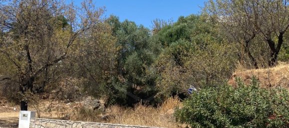  Land in Salir, Portugal No. 60037 7