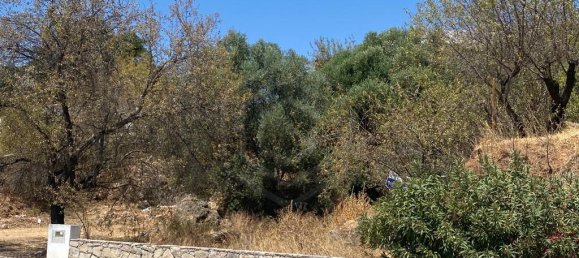  Land in Salir, Portugal No. 60037 8