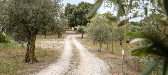 4 غرف نوم منزل في Tomar, Portugal رقم 142942 8