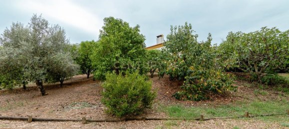 4 غرف نوم منزل في Tomar, Portugal رقم 142942 7