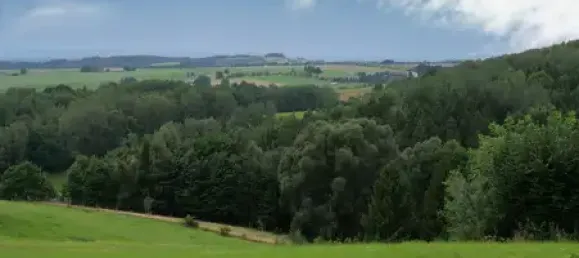 4 rooms House in Sachsische Schweiz-Osterzgebirge, Germany No. 171045 23