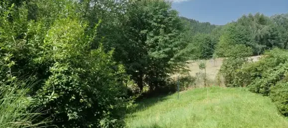 4 rooms House in Sachsische Schweiz-Osterzgebirge, Germany No. 171045 4