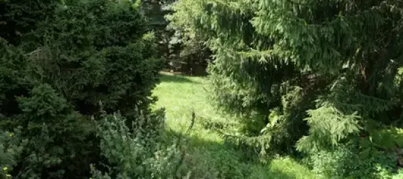 4 rooms House in Sachsische Schweiz-Osterzgebirge, Germany No. 171045 9