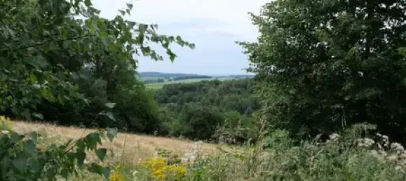 4 rooms House in Sachsische Schweiz-Osterzgebirge, Germany No. 171045 10