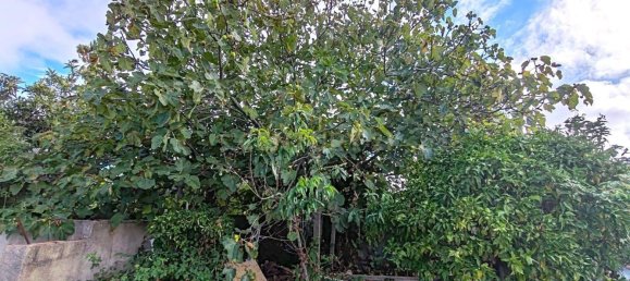 406m² Land in Cascais, Portugal No. 267967 16